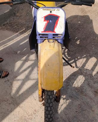 Grizzly Franco Morini 