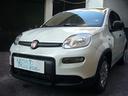 fiat-panda-1-0-firefly-s-s-hybrid-5-posto-pack-c