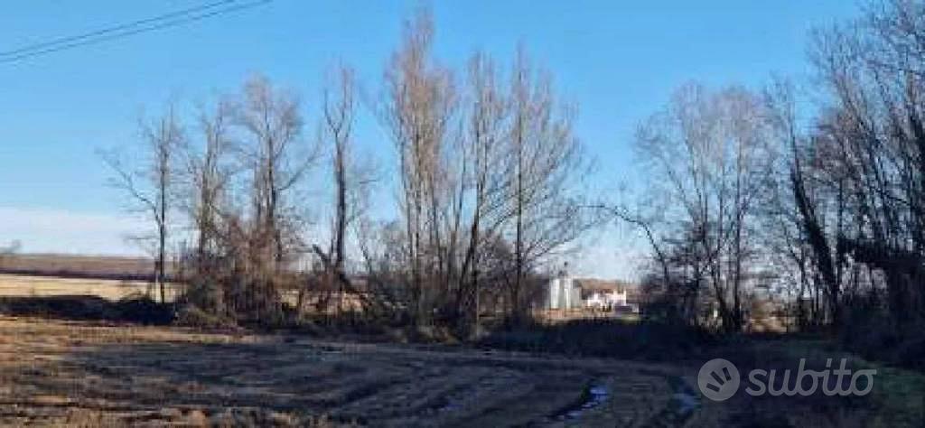 Immobile in asta di 8480 m² a Carisio - Vista 3
