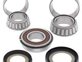 Kit cuscinetti sterzo modifica Triumph  955