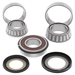 Kit cuscinetti sterzo modifica Triumph 955