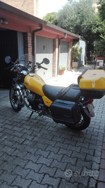 Moto Guzzi v65 Florida