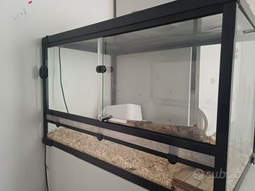 Teka più serpente