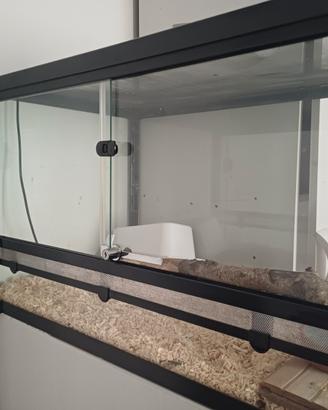 Teka più serpente
