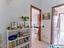 Immagine 19