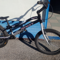Bike trial monty 219