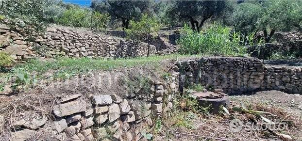 Terreno 10.000mq con rustici a Calatabiano - Vista 2
