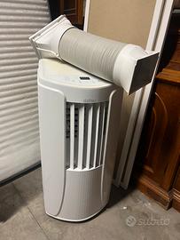 Pinguino aria condizionata