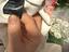 Immagine 4