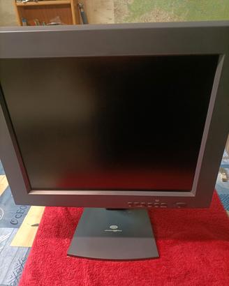 monitor professionale 