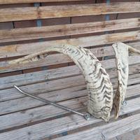 arredo per teca rettili 