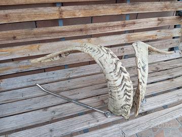 arredo per teca rettili 