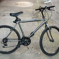 biciclette