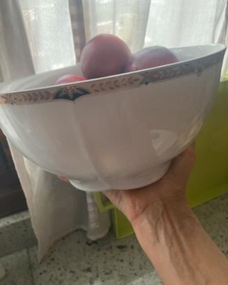 Porta frutta, zuppa, risotto, insalata, etc.