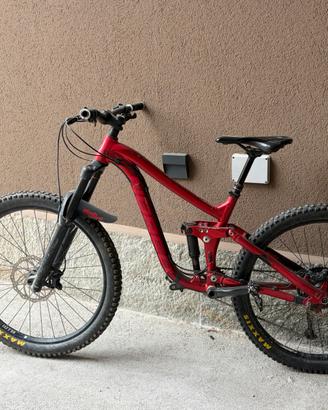 Norco MTB DH