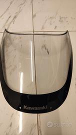 plexiglass cupolino ZX9