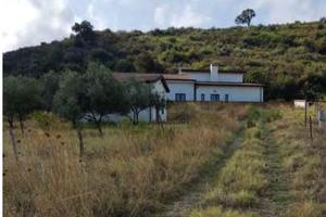 RGE 106/2019 Trib Patti - LOTTO 1