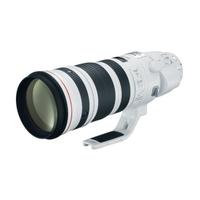 Canon Zoom 200-400 F4 L IS USM extender 1.4xCanon