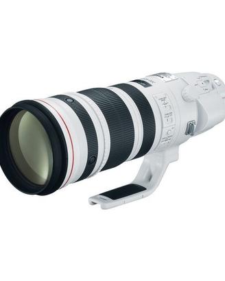 Canon Zoom 200-400 F4 L IS USM extender 1.4xCanon