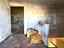 Immagine 27