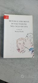 Metodi strumenti di valutazione nel ciclo di vita