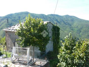 CASA INDIPENDENTE A MEZZANEGO