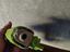 Immagine 5