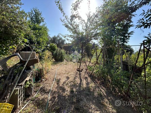 TER. AGRICOLO A MASSA LUBRENSE