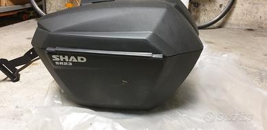 valige rigide shad tiger 1050