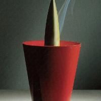 Joe Cactus Philippe Starck