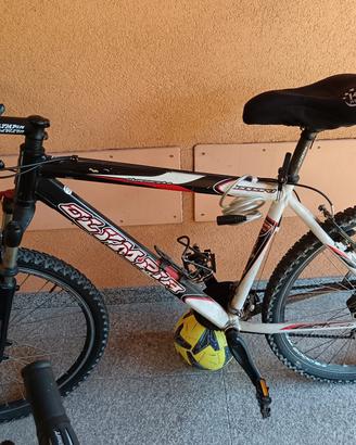 Mountain bike