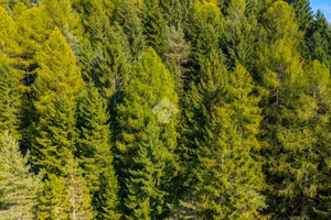 TER. AGRICOLO A FOLGARIA