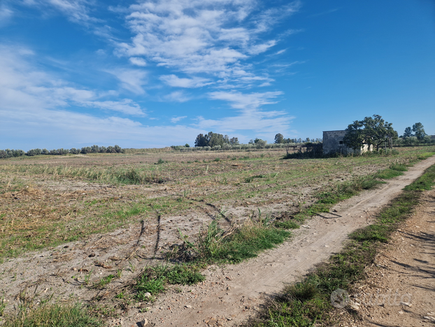 Terreni agricoli