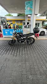 Triumph Speed 400 2024