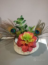 Composizione di piante grasse