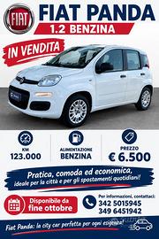 Fiat Panda 2015 1.2 Benzina