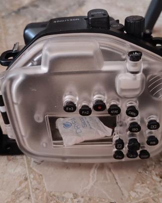 custodia subacquea LX100