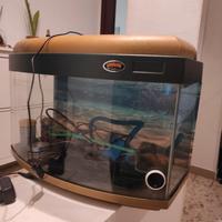 Acquario