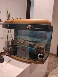 Acquario