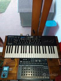 Synth analogico Dave Smith 