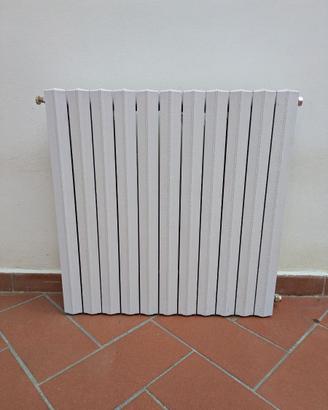 Termosifone in ghisa
