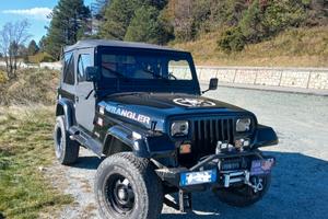 jeep Wrangler yj  4.2  del 1989