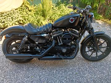 HARLEY DAVIDSON 883 IRON