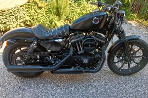 HARLEY DAVIDSON 883 IRON