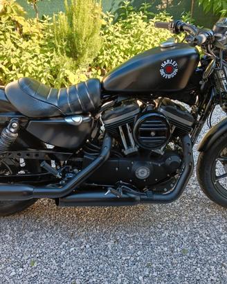 HARLEY DAVIDSON 883 IRON
