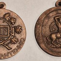 Medaglie commemorative SIP (Soc. Idrica Piemonte)