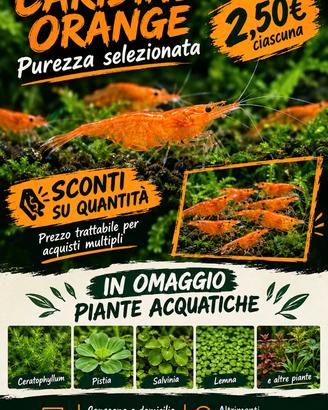 Caridine Neocaridine Orange - Linea Pura e Colorat