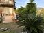 Immagine 7