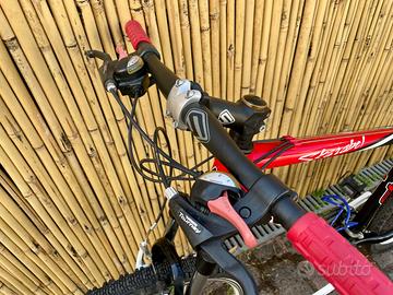 Bicicletta MTB Speed