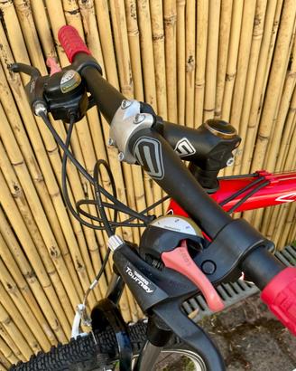 Bicicletta MTB Speed